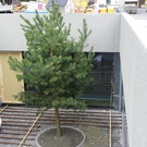 114_8051_JPG-1344087016