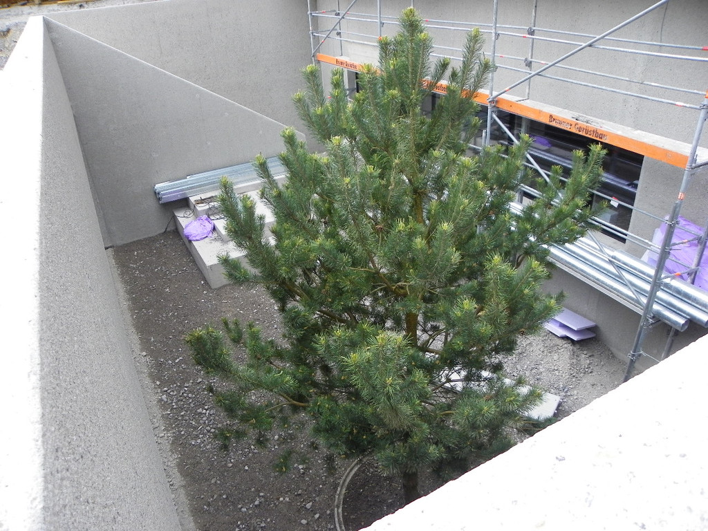 114_8058_JPG-1344087022