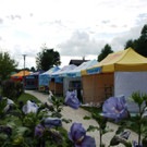 03082012sfmondseeat02008aktivnews07.JPG