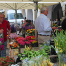 BK_Wochenmarkt_FK 12_jpg-1344113498