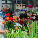 BK_Wochenmarkt_FK 23_jpg-1344113568