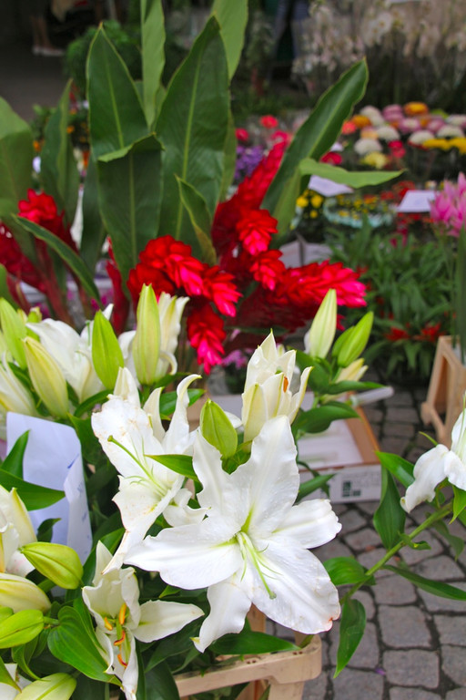 BK_Wochenmarkt_FK 25_jpg-1344113583