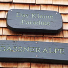 Gaßner Alpe, St. Gerold - 4.8.2012