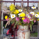 Ga__ner Alpe_ St_ Gerold - 4_8_2012 016_JPG-1344113784