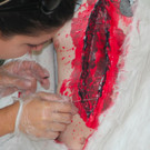 BK_VGTierversuche 3_jpg-1344116835