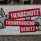 BK_VGTierversuche 4_jpg-1344116840