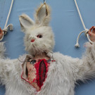 BK_VGTierversuche 6_jpg-1344116850