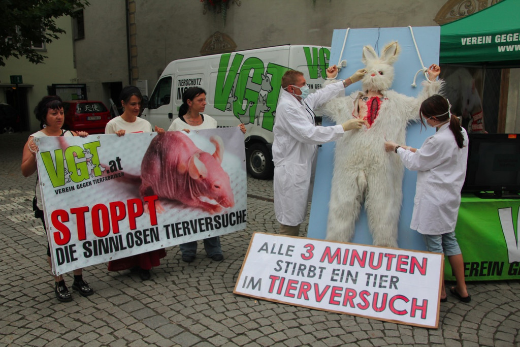 BK_VGTierversuche 7_jpg-1344116859