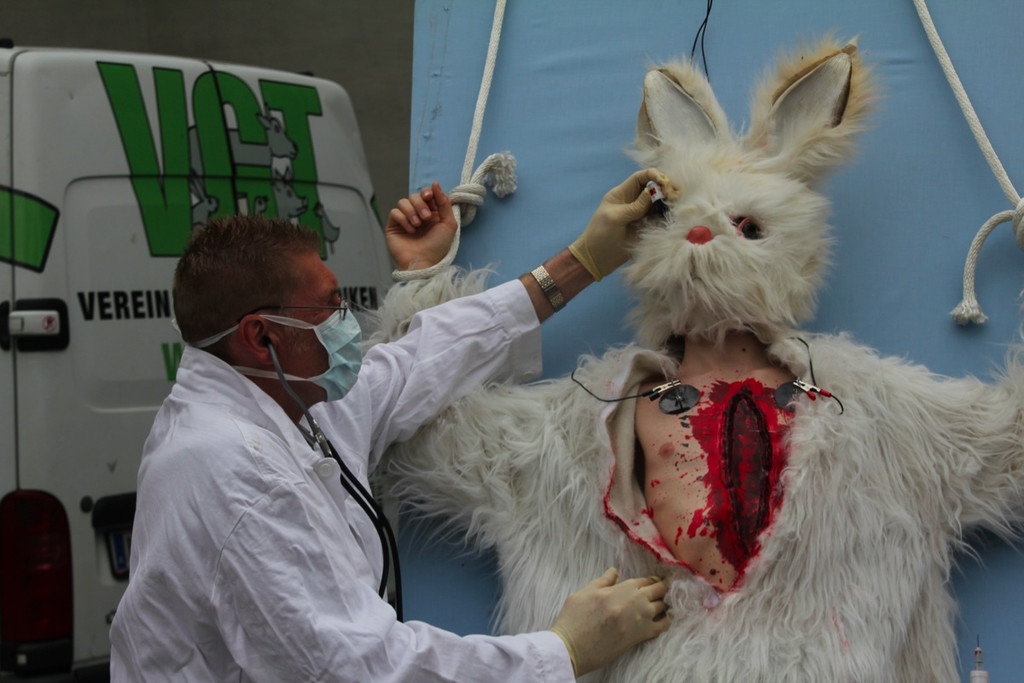 BK_VGTierversuche 8_jpg-1344116864