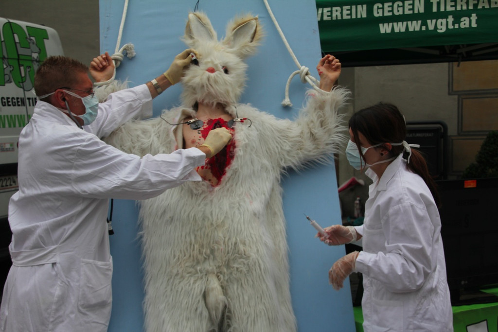 BK_VGTierversuche 9_jpg-1344116869