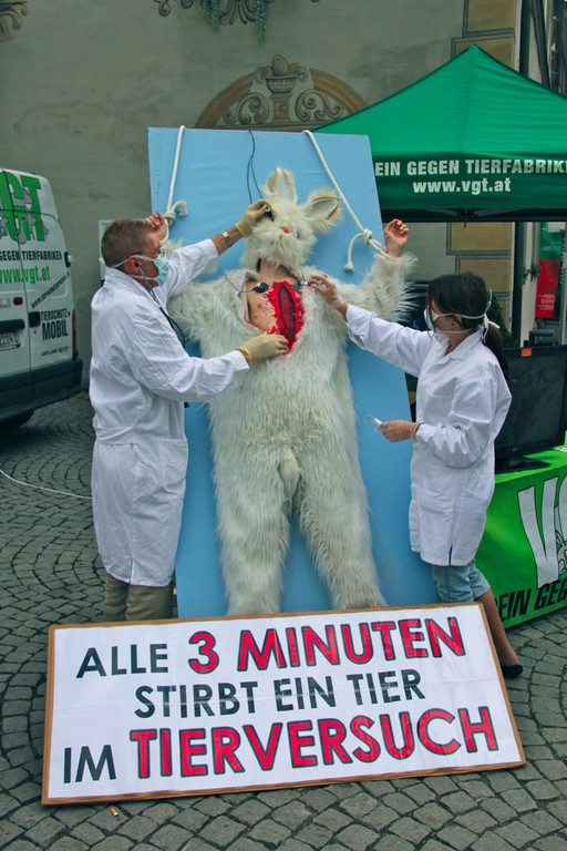 BK_VGTierversuche 11_jpg-1344116884