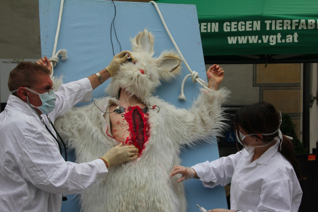 BK_VGTierversuche 12_jpg-1344116889