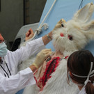 BK_VGTierversuche 13_jpg-1344116894