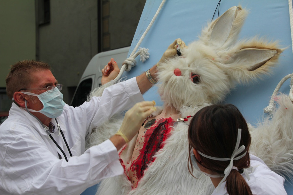 BK_VGTierversuche 13_jpg-1344116894