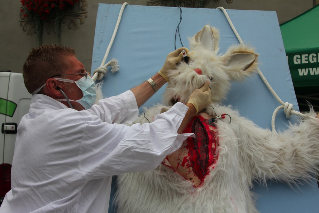 BK_VGTierversuche 15_jpg-1344116904