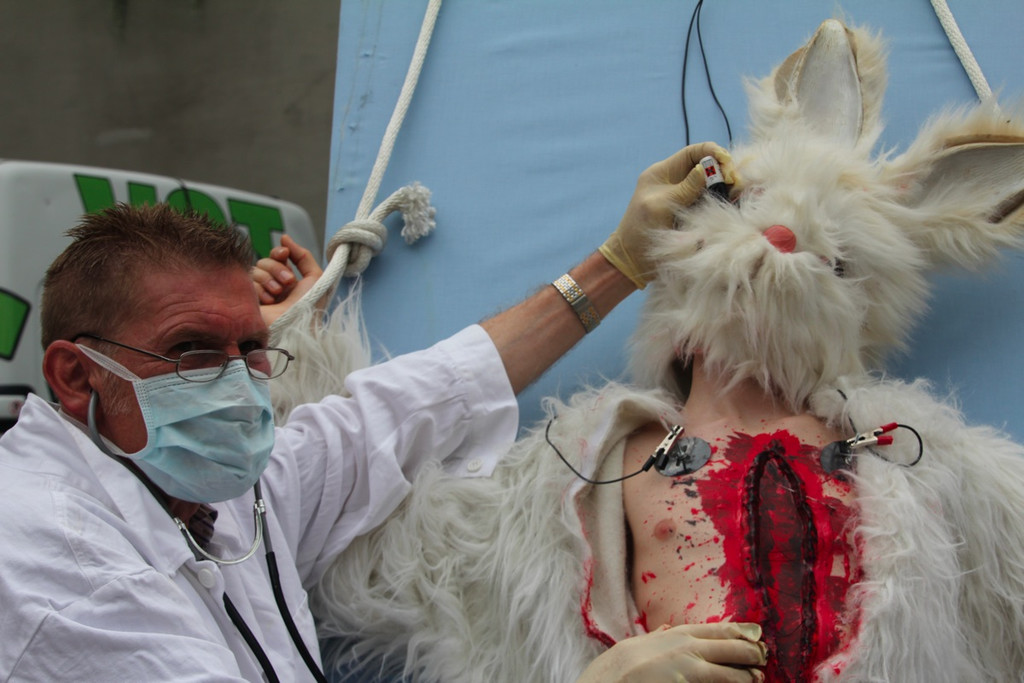 BK_VGTierversuche 16_jpg-1344116909