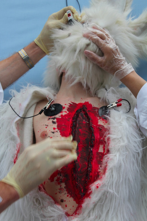 BK_VGTierversuche 17_jpg-1344116914