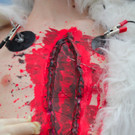 BK_VGTierversuche 18_jpg-1344116919