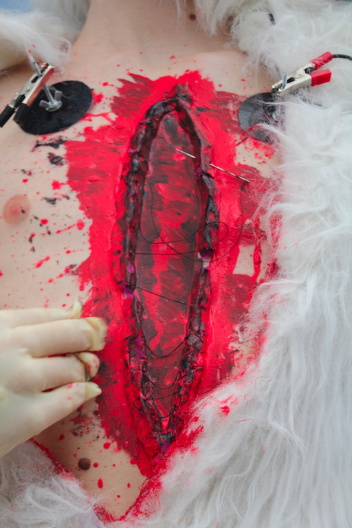 BK_VGTierversuche 18_jpg-1344116919