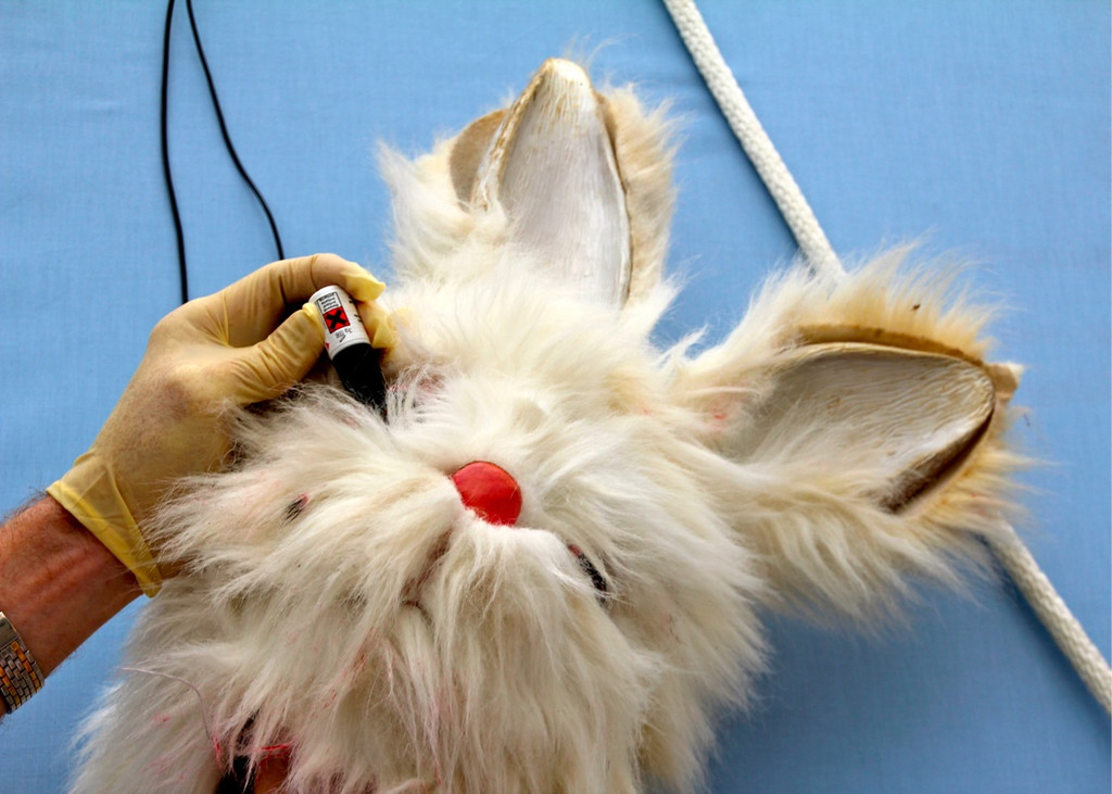 BK_VGTierversuche 20_jpg-1344116927