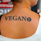 BK_VGTierversuche 24_jpg-1344116951