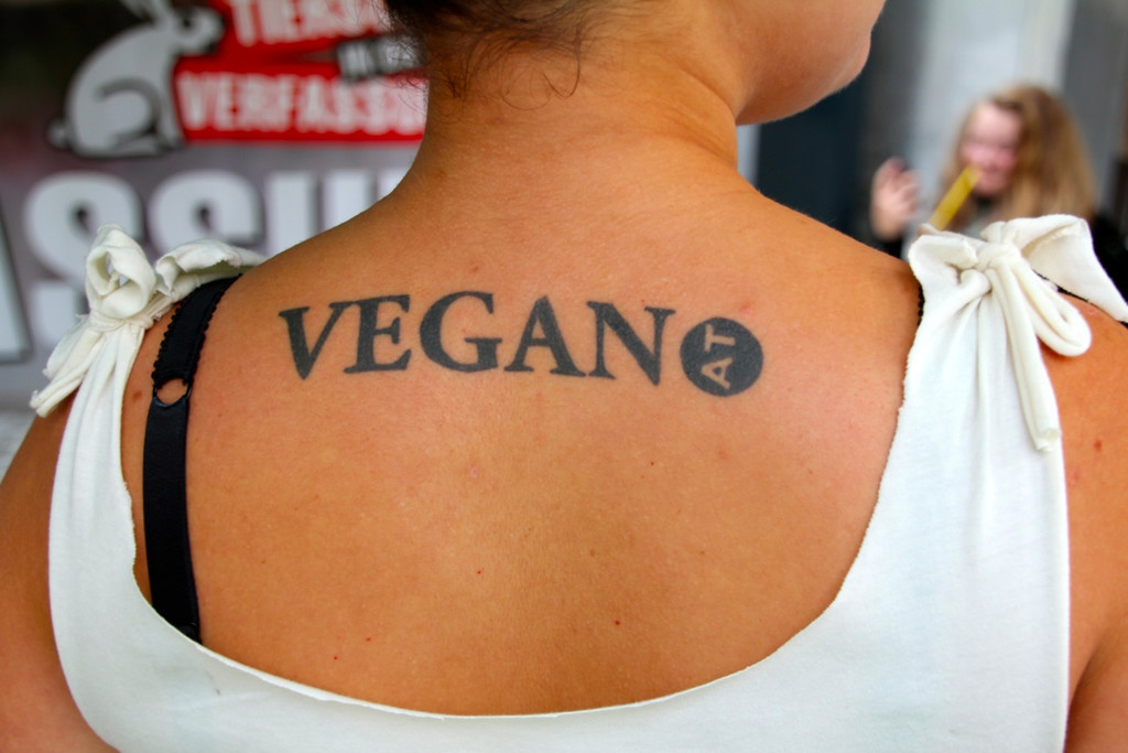 BK_VGTierversuche 24_jpg-1344116951