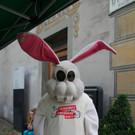 BK_VGTierversuche 25_jpg-1344116956