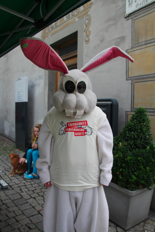 BK_VGTierversuche 25_jpg-1344116956