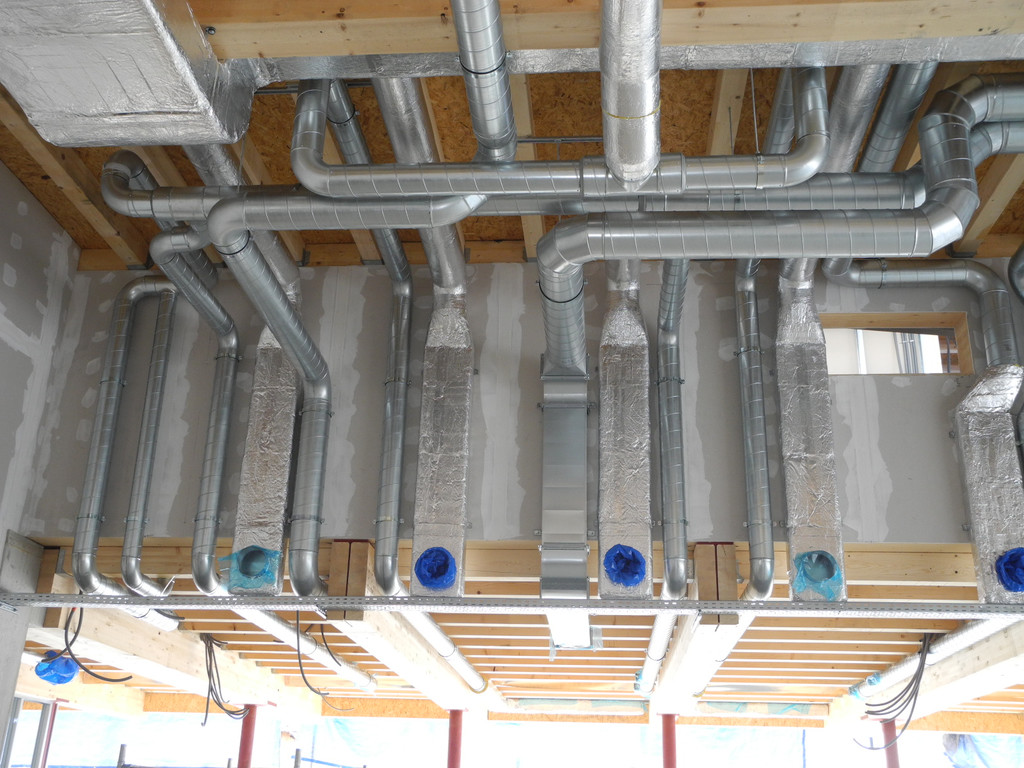 DSCN7623_JPG-1344146625