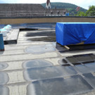 DSCN7637_JPG-1344146887