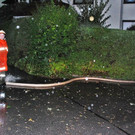 normal_04082012_fmt_unwettergroedig_ex_017.JPG
