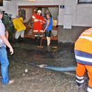 normal_04082012_fmt_unwettergroedig_ex_026.JPG