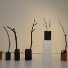 DSCN7284_JPG-1344150517