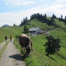IMG_1109_jpg-1344175364