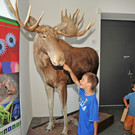 inatura als gefragtes ,,Reiseziel Museum"