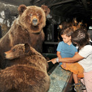 inatura 05-08-2012 46_jpg-1344187036