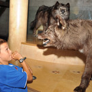 inatura 05-08-2012 54_jpg-1344187132