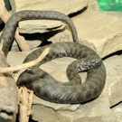 inatura 05-08-2012 78_jpg-1344187317