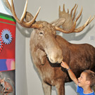 inatura 05-08-2012 2 b_jpg-1344188618
