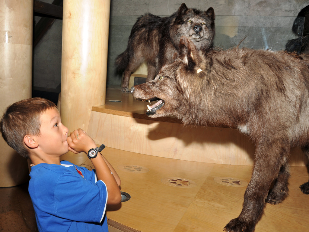 inatura 05-08-2012 54_jpg-1344188941