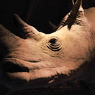 inatura 05-08-2012 57_jpg-1344188969