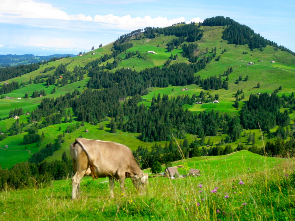 BK_Hoher_Kasten 27_jpg-1344199892