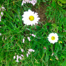 BK_Hoher_Kasten 46_jpg-1344200037