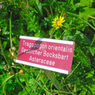 BK_Hoher_Kasten 49_jpg-1344200054