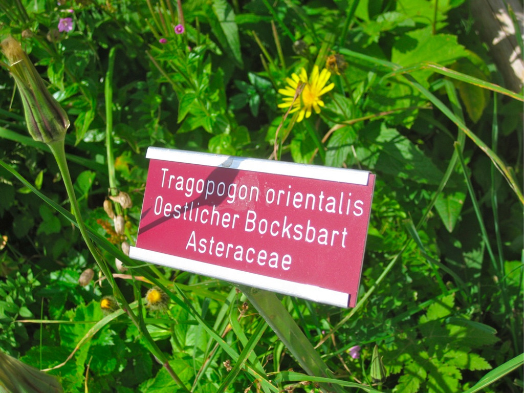 BK_Hoher_Kasten 49_jpg-1344200054