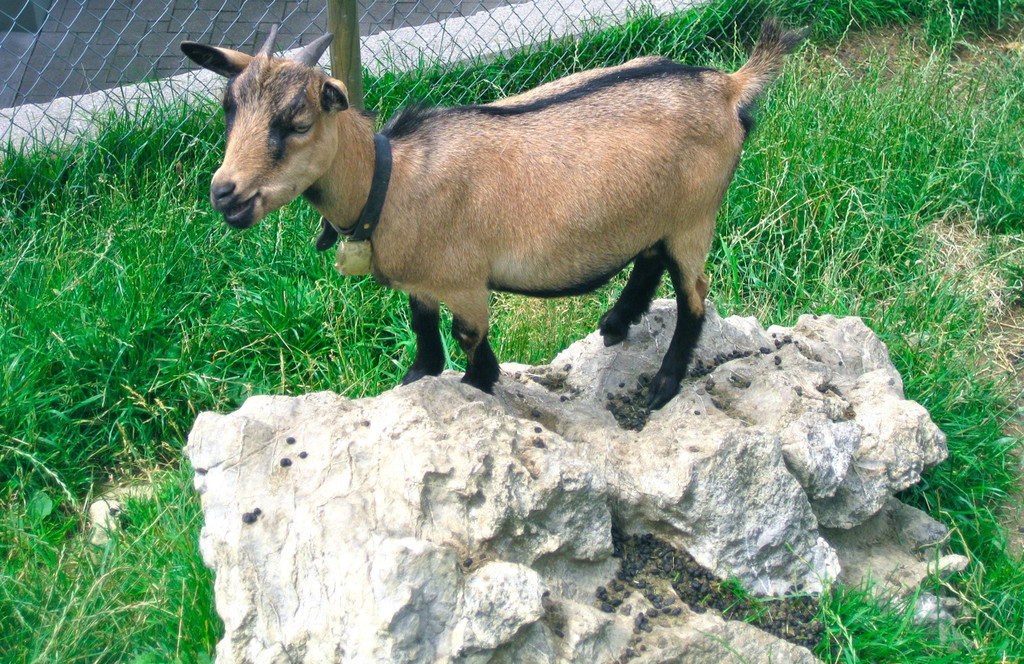 BK_Hoher_Kasten 64_jpg-1344200160