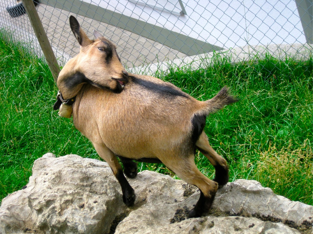 BK_Hoher_Kasten 66_jpg-1344200175