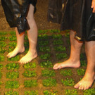 04082012seefmondsamsatat02008aktivnews075.JPG