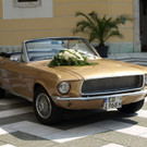 04082012trikemondat02008aktivnews075.JPG