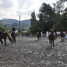 DSC_0070 - Kopie_JPG-1344236777